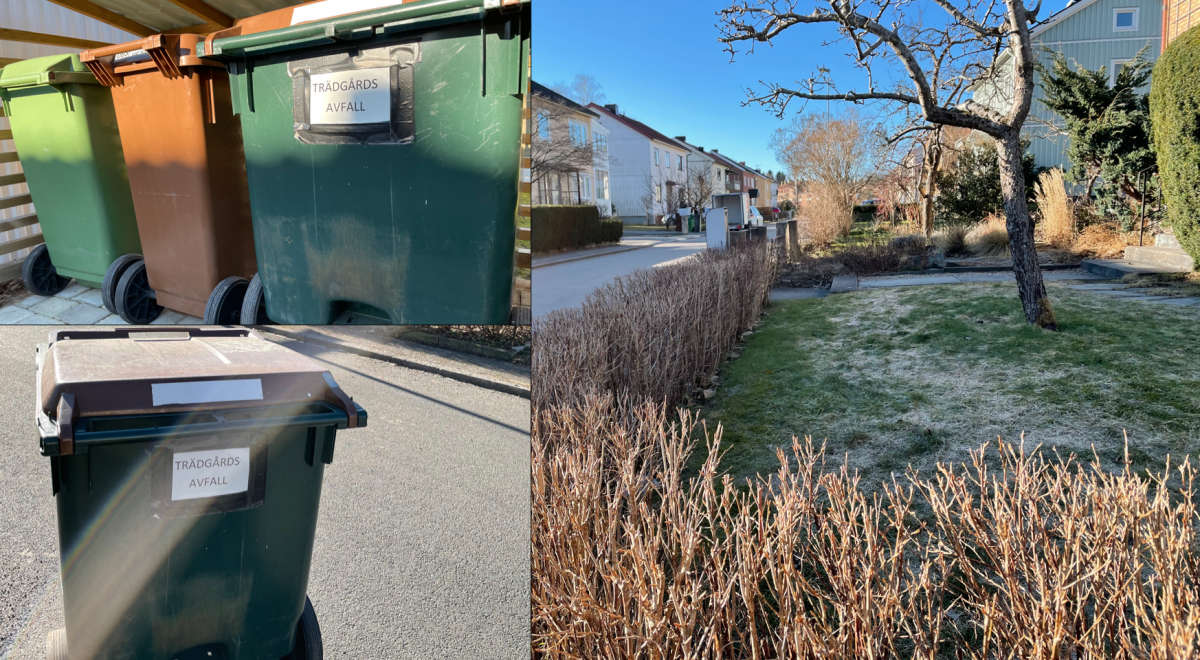 Olika bilder på trädgårdsavfall