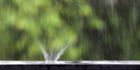 Regn mot grön bakgrund