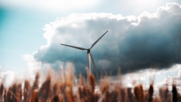 Vindkraftverk i fält med moln på himmel