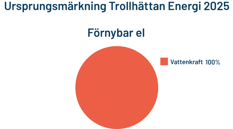 Diagram över elförsäljning förnybar el 2025