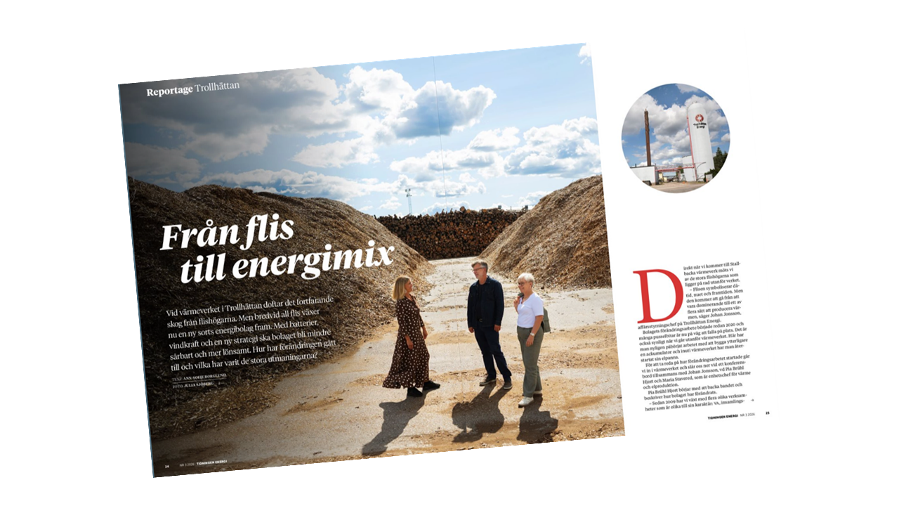 Skärmdump tidningsreportage